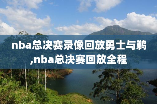 nba总决赛录像回放勇士与鹈,nba总决赛回放全程