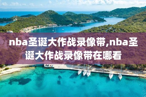 nba圣诞大作战录像带,nba圣诞大作战录像带在哪看