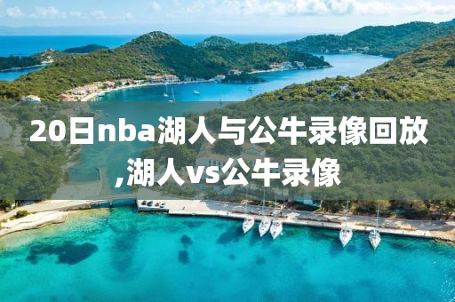 20日nba湖人与公牛录像回放,湖人vs公牛录像
