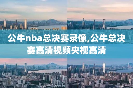 公牛nba总决赛录像,公牛总决赛高清视频央视高清