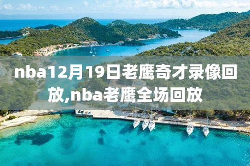 nba12月19日老鹰奇才录像回放,nba老鹰全场回放