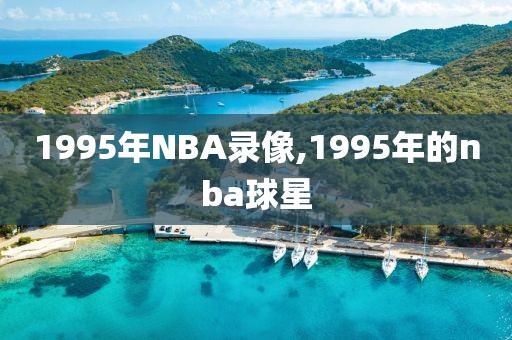 1995年NBA录像,1995年的nba球星