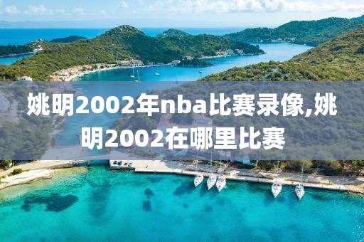 姚明2002年nba比赛录像,姚明2002在哪里比赛