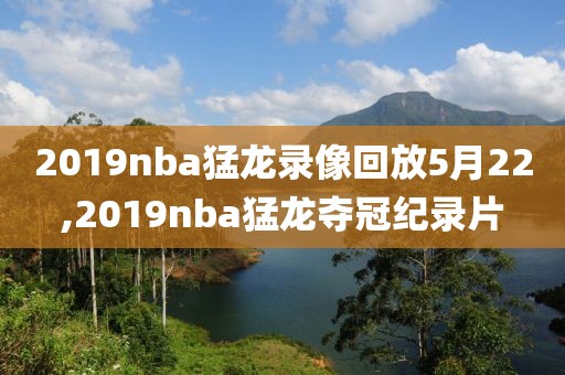2019nba猛龙录像回放5月22,2019nba猛龙夺冠纪录片