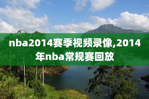 nba2014赛季视频录像,2014年nba常规赛回放