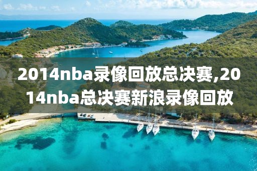 2014nba录像回放总决赛,2014nba总决赛新浪录像回放