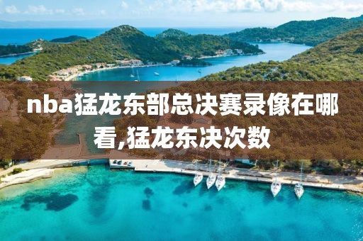 nba猛龙东部总决赛录像在哪看,猛龙东决次数