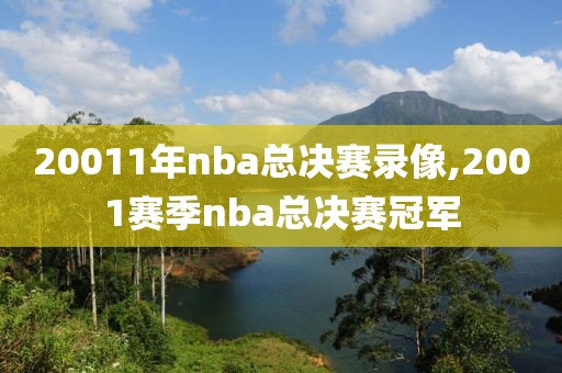 20011年nba总决赛录像,2001赛季nba总决赛冠军