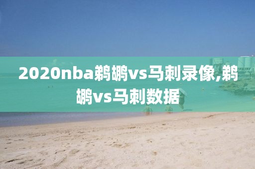 2020nba鹈鹕vs马刺录像,鹈鹕vs马刺数据