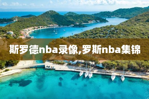 斯罗德nba录像,罗斯nba集锦