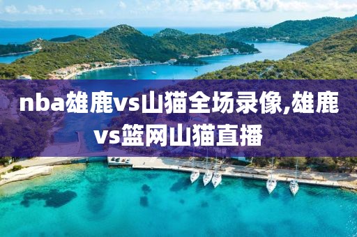 nba雄鹿vs山猫全场录像,雄鹿vs篮网山猫直播